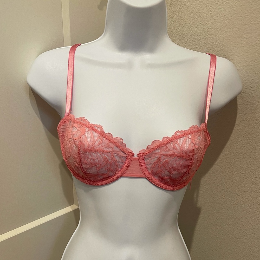 Pink lace, sheer bra.